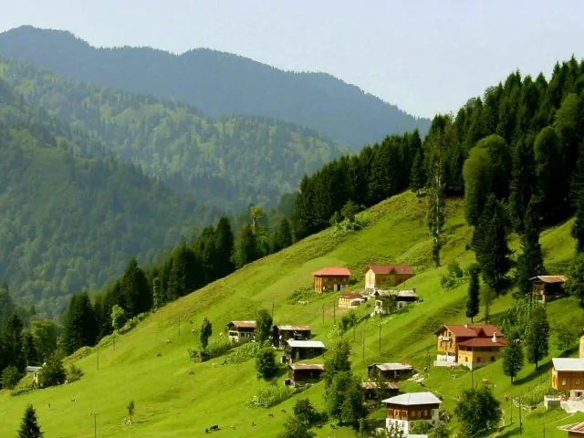 Yeşil yamaçlara serpiştirilmiş Karadeniz yayla evleri