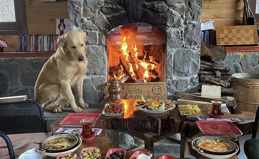 Yöresel Lezzet Durağı