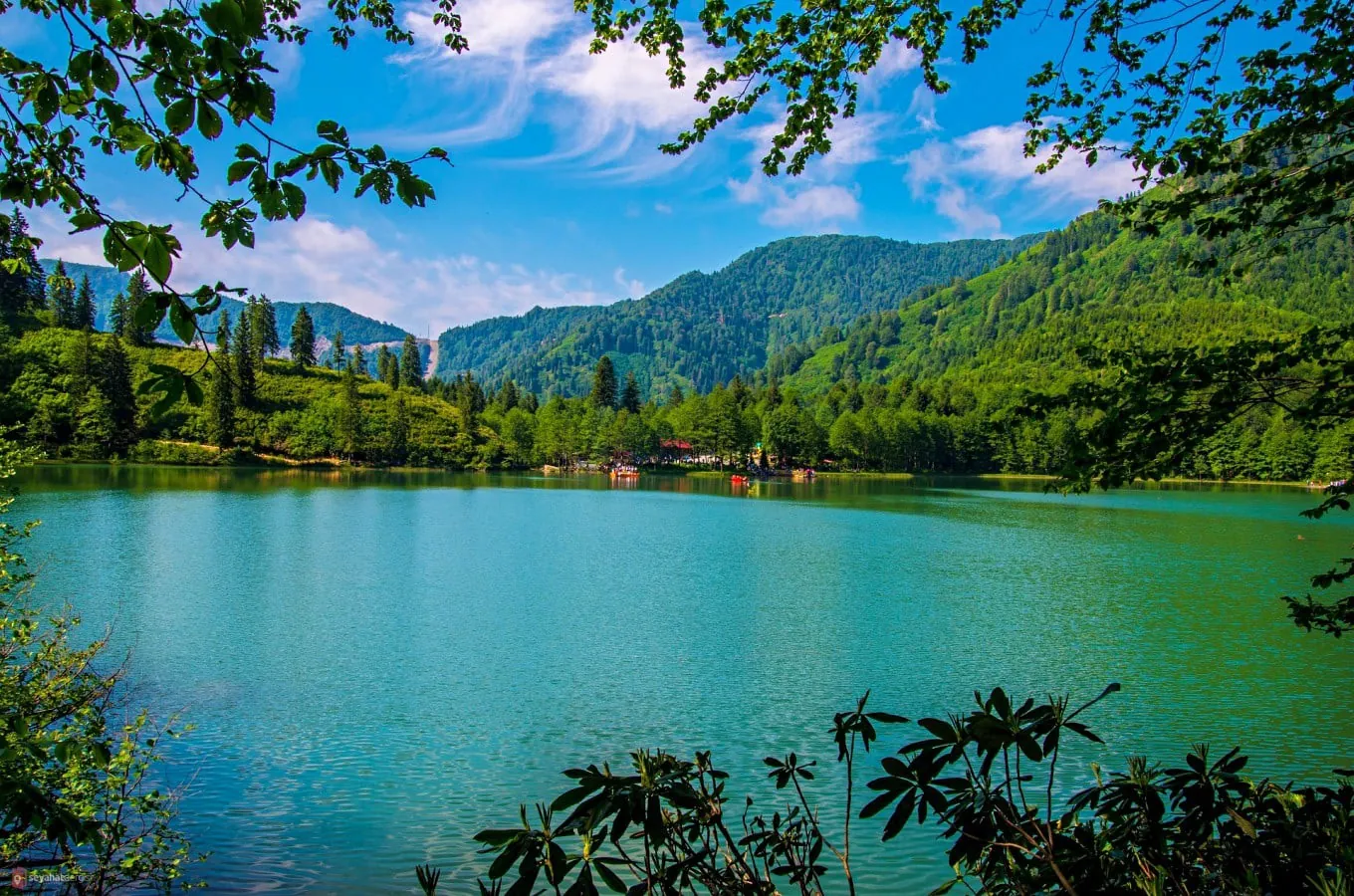 Rize'de ormanlarla çevrili turkuaz bir göl